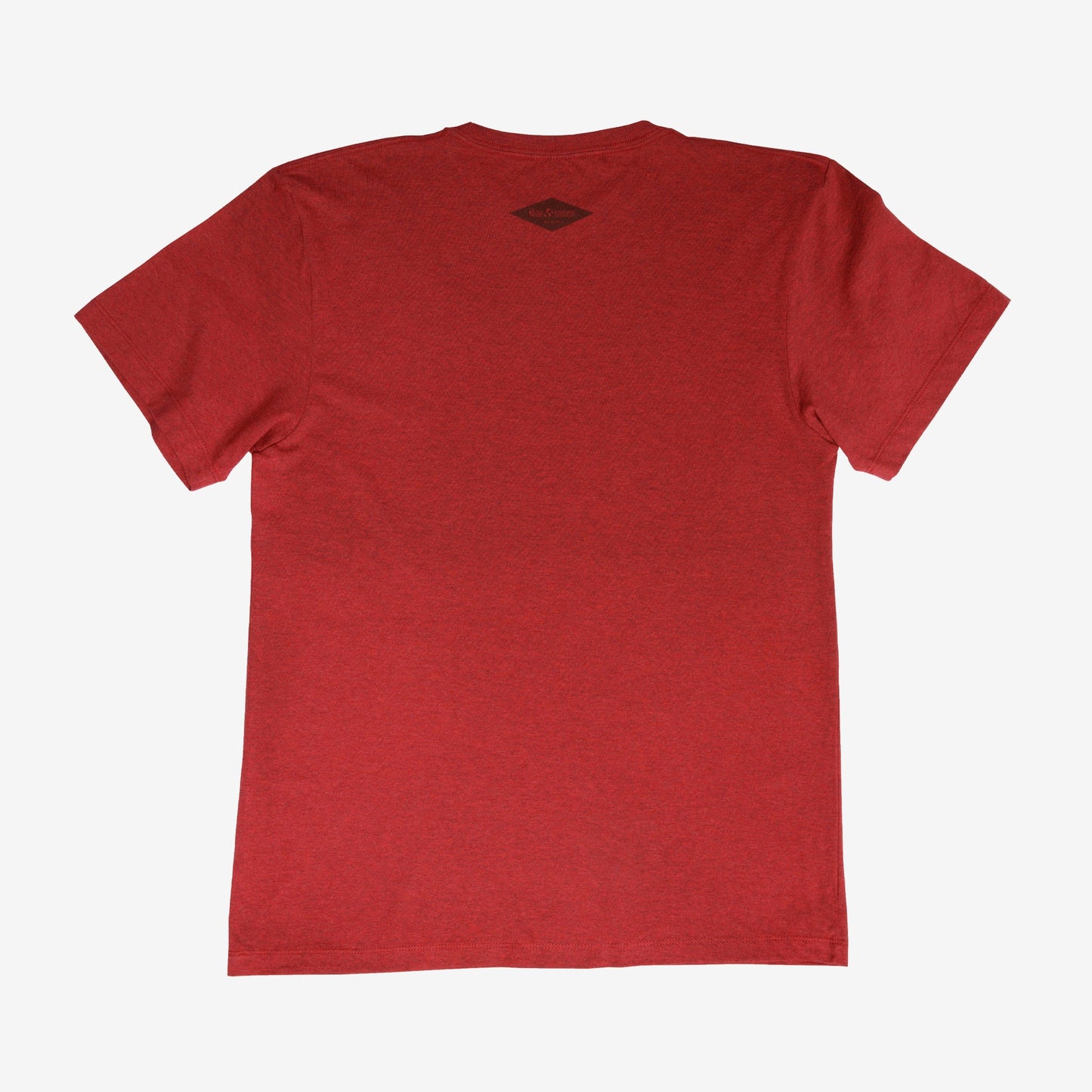 backyard-t-shirt-u8 Shirt_Mtn_Back.jpg