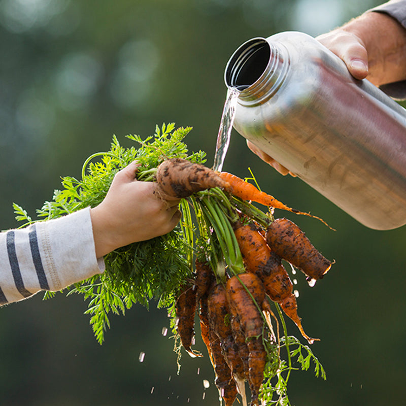 64oz-wide-with-loop-cap-e6 64oz_wide_mouth_bottle_carrots_rinse_square.jpg